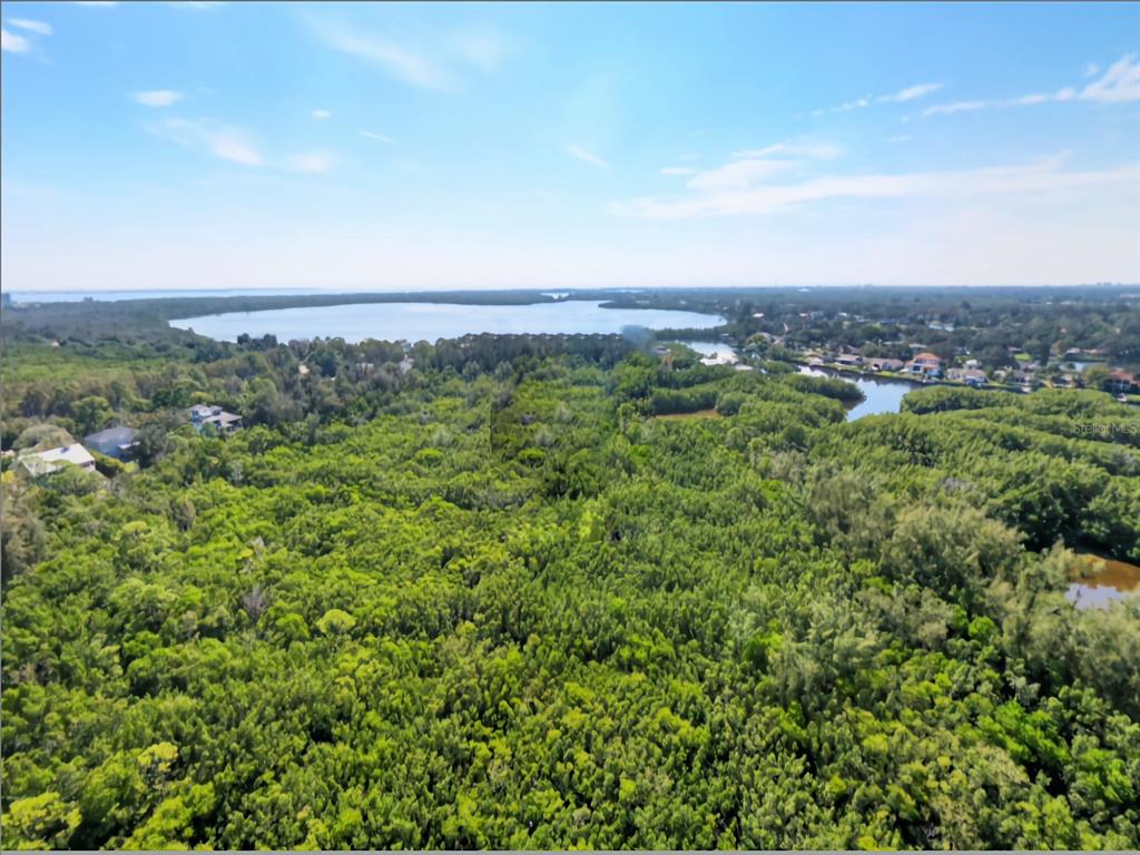 An aerial view shows a dense forest area with a lake and residential homes nearby — TIDAL SWAMP NE, ST PETERSBURG, FL