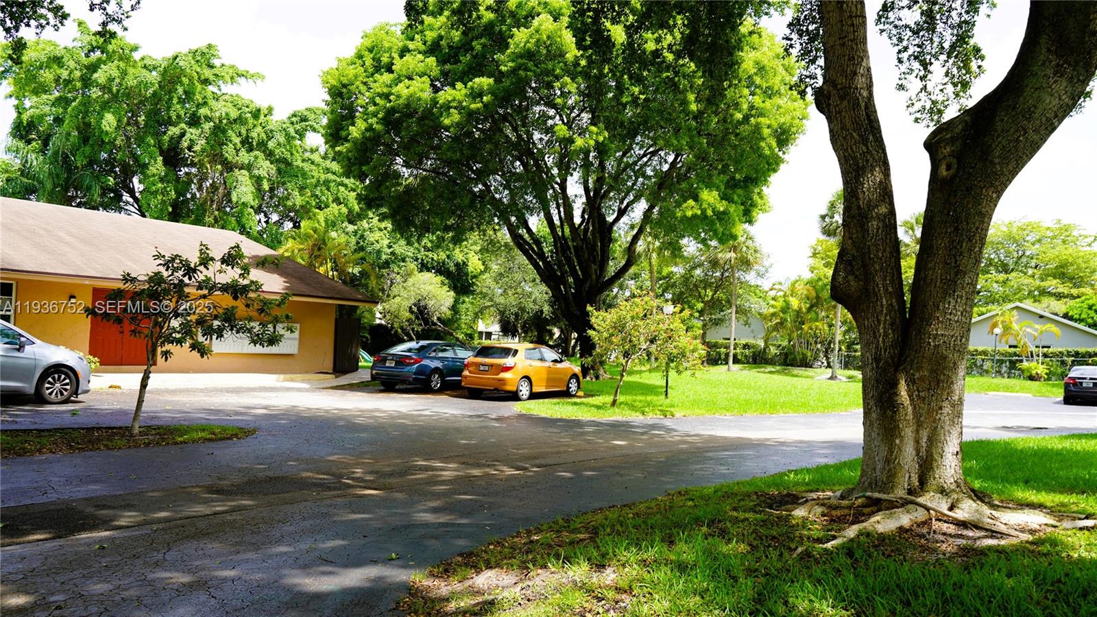 A paved parking area sits in front of a building with a large tree — 7175 Nova Dr # 204, Davie FL 33317, DAVIE, FL