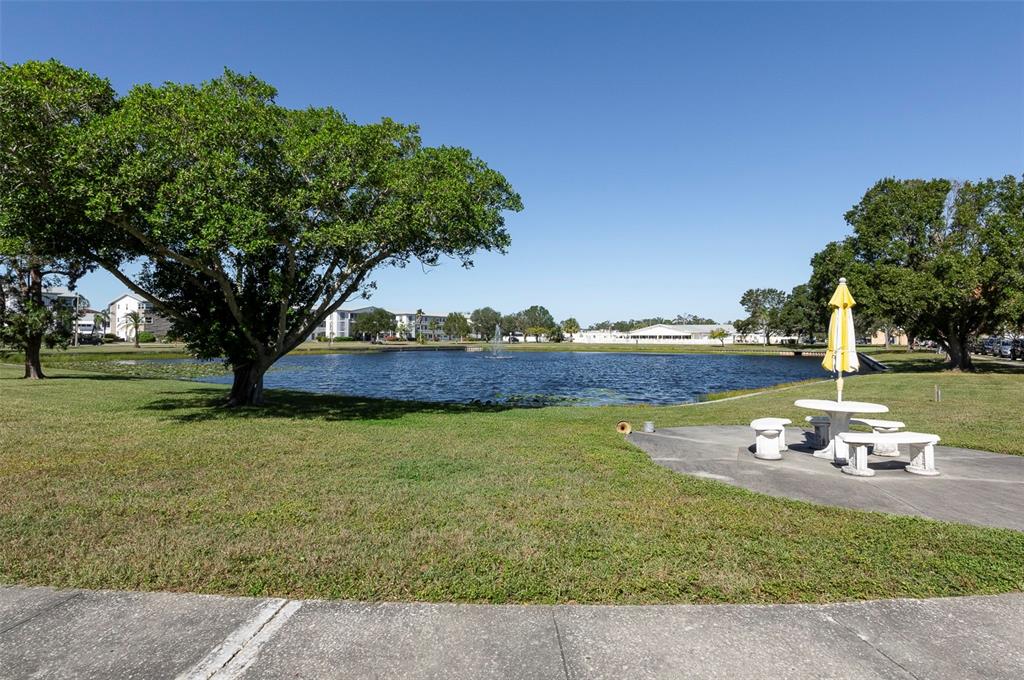 A grassy park area features a pond with a fountain, large trees, and patio furniture — 1950 59TH AVENUE N UNIT 119, ST PETERSBURG, FL