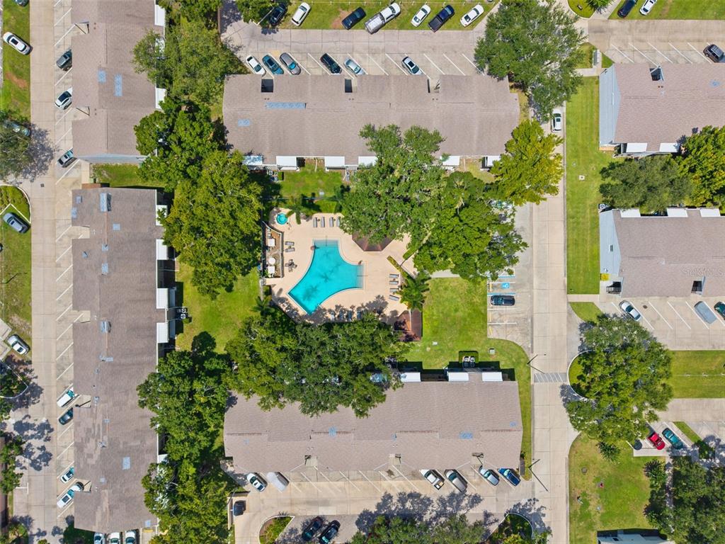 Aerial view of an apartment complex featuring a central swimming pool and surrounding parking lots — 3808 N OAK DRIVE UNIT U31, TAMPA, FL