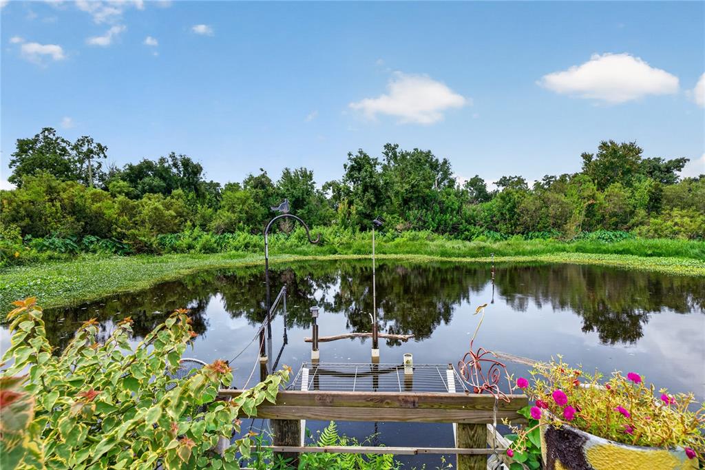 A small pond is surrounded by lush green trees under a blue sky with clouds — 2558 MCINTOSH DRIVE, LAKELAND, FL