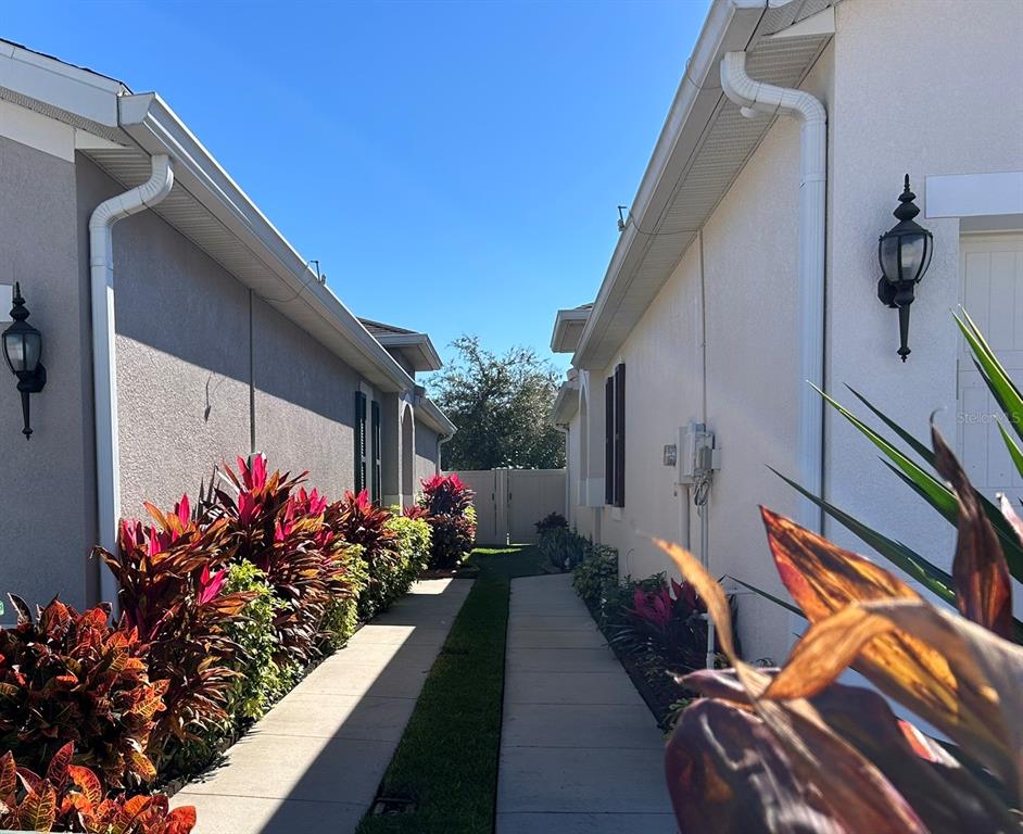 A narrow concrete walkway runs between two houses with colorful landscaping and exterior wall lamps — 10647 HERON HIDEAWAY LOOP, LAND O LAKES, FL