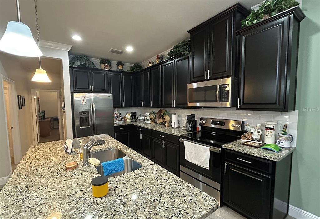 A kitchen features dark cabinetry, granite countertops, stainless steel appliances, and a large central island — 10647 HERON HIDEAWAY LOOP, LAND O LAKES, FL