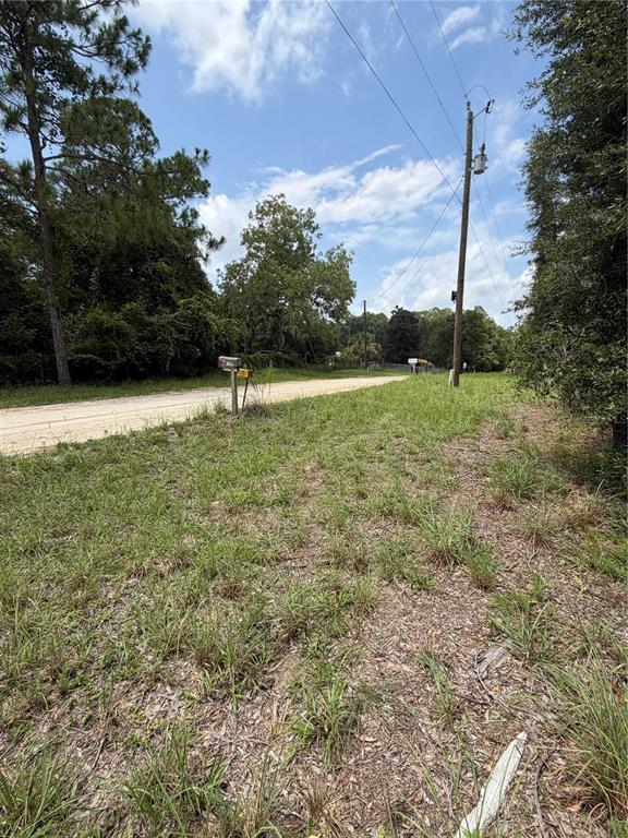 A dirt road runs past a grassy lot with a utility pole and mailboxes — 4951 NE 142ND COURT, WILLISTON, FL