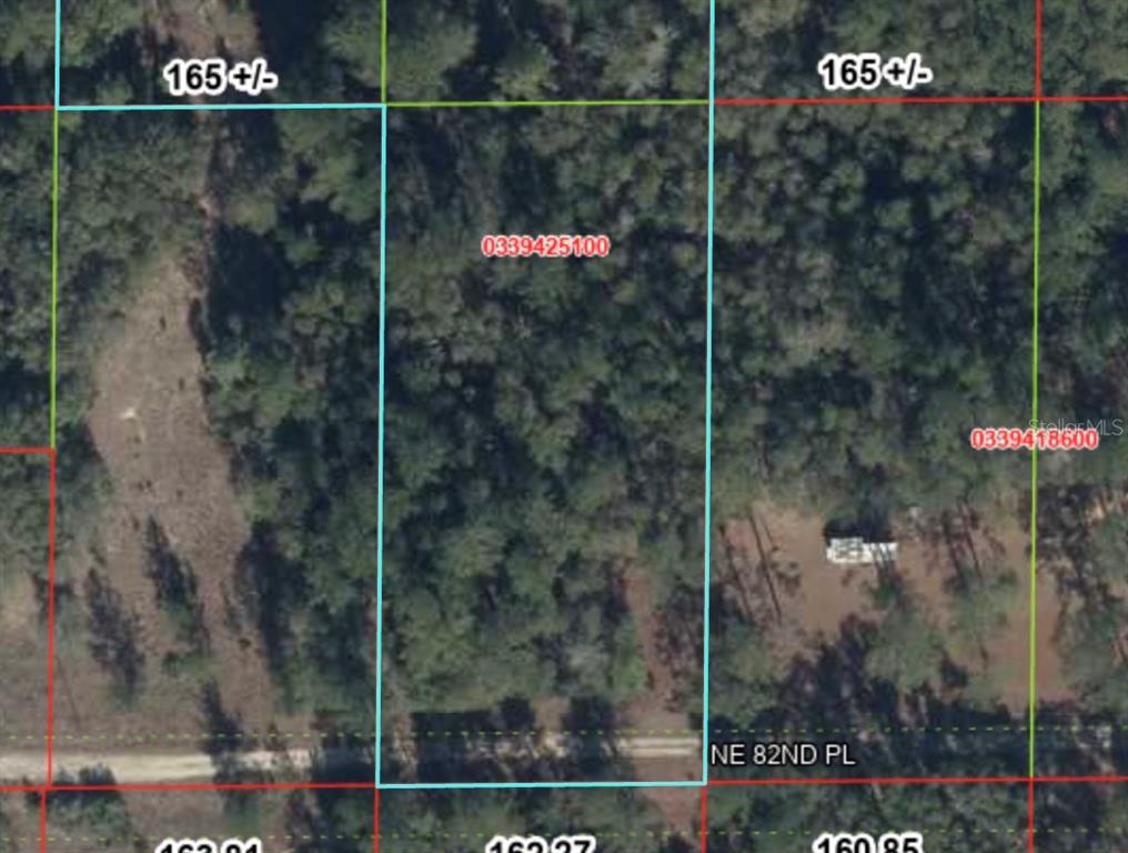 This is an aerial map showing a rectangular plot of land bordered by a road — TBD NE 82ND PLACE, BRONSON, FL