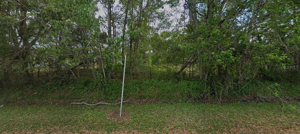 A view of a densely wooded, undeveloped residential lot with a grassy foreground — 1707 DILL ROAD, ORLANDO, FL