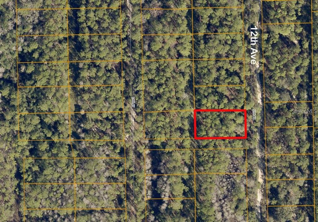 An aerial map view shows a rectangular plot of land highlighted in red among trees — LOT 139 12TH AVENUE, DELAND, FL
