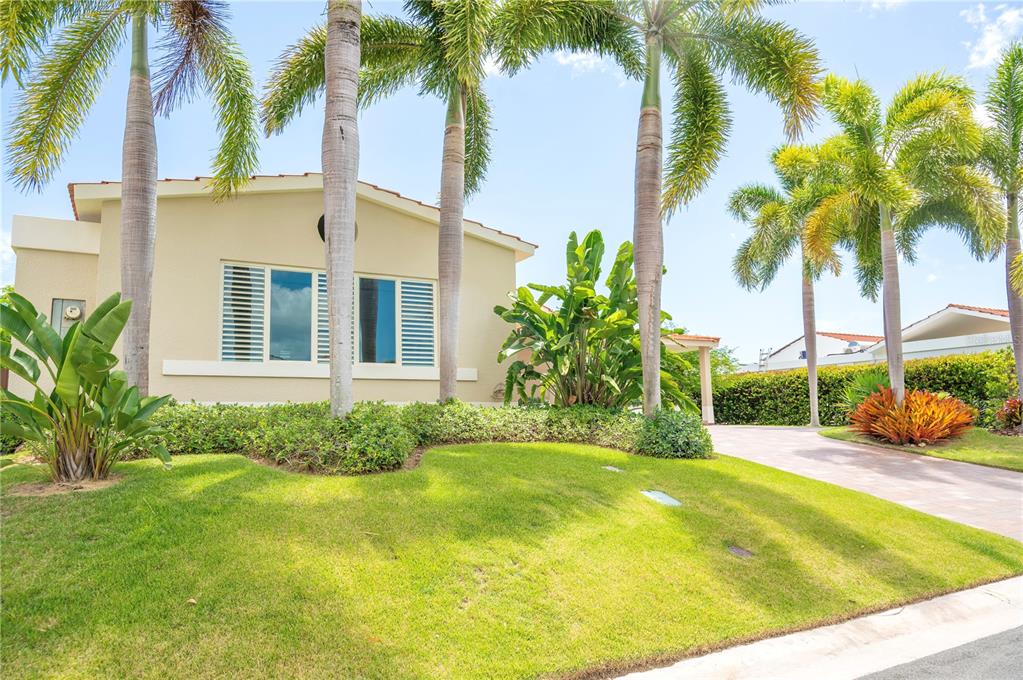 A single-story house with a beige exterior, palm trees, and a landscaped front yard — 302 CAMINO DE LOS CEDROS, DORADO, PR