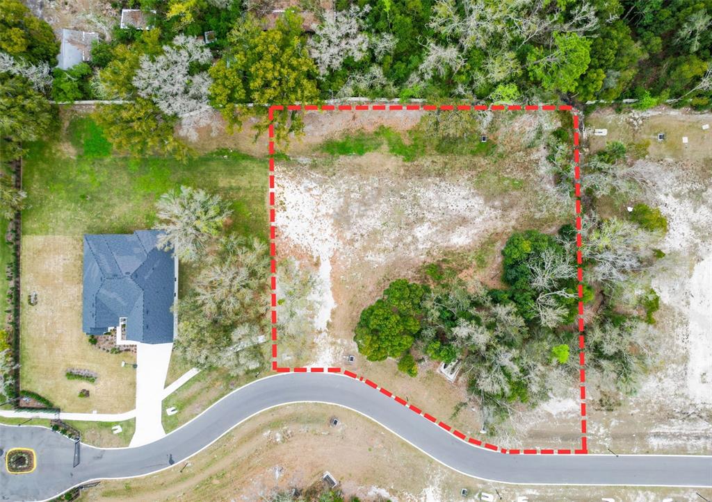 An aerial view shows a vacant, partially wooded residential lot outlined in red — 18469 PURPLE CREEK LANE, LUTZ, FL