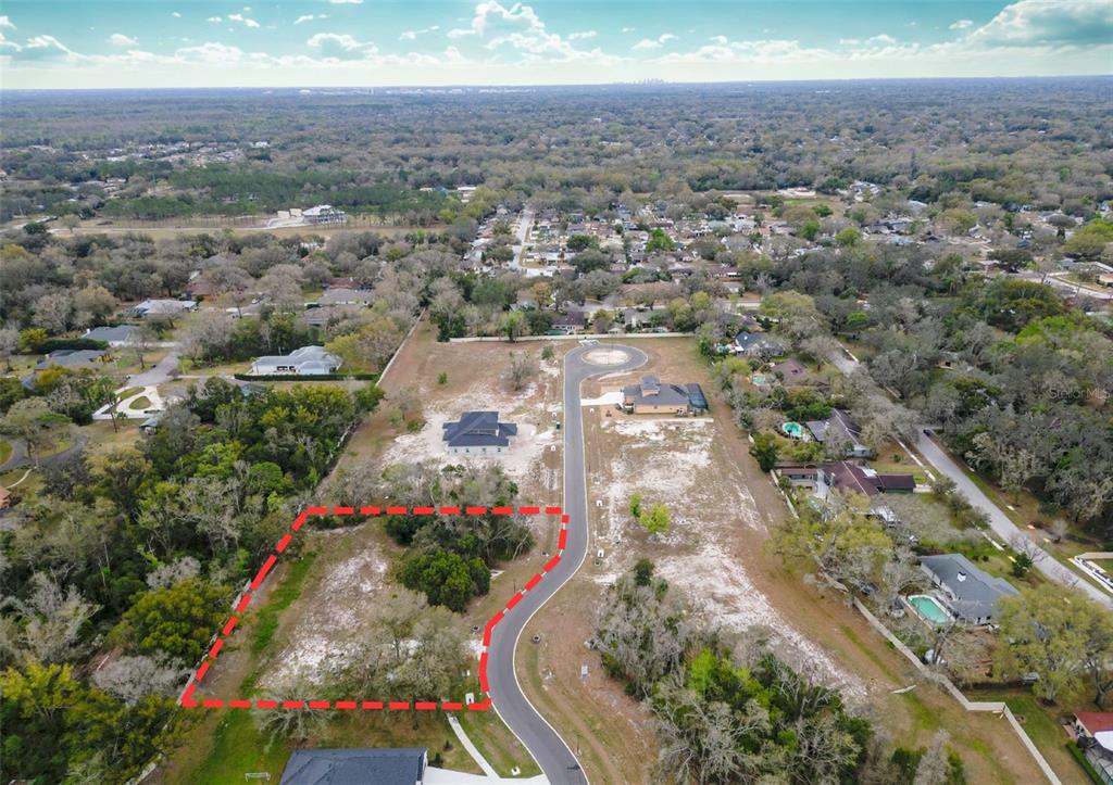 An aerial view shows a vacant, rectangular residential lot outlined in red along a paved road — 18469 PURPLE CREEK LANE, LUTZ, FL