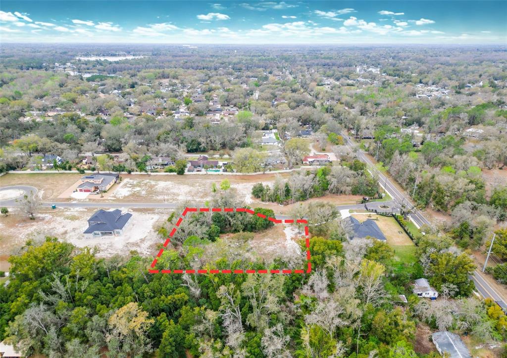 An aerial view shows a vacant, partially wooded residential lot outlined in red — 18469 PURPLE CREEK LANE, LUTZ, FL