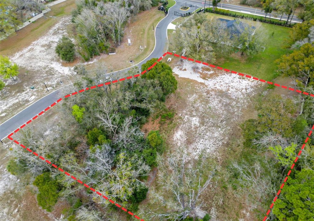 An aerial view shows a vacant, partially wooded residential lot outlined in red — 18469 PURPLE CREEK LANE, LUTZ, FL