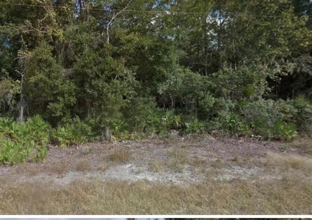 0 MITCHELL AVENUE, MIMS, FL — photo 3 of 3