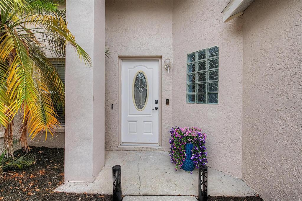 The exterior entryway features a white door with an oval glass insert and glass blocks — 655 SAND RIDGE DRIVE, VALRICO, FL