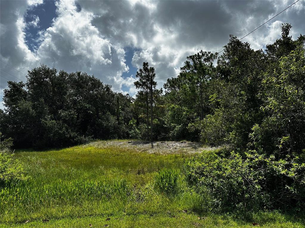 0 DOHERTY DRIVE, LAKE WALES, FL — photo 4 of 5