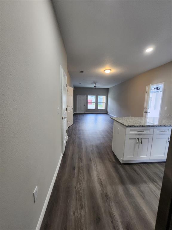 An open-concept living area features dark wood-look flooring, white cabinets, and a granite countertop — 5024 FINDERS COURT, TAMPA, FL