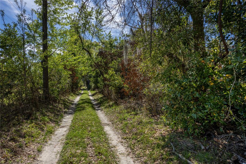 A dirt path with two tire tracks runs through a wooded area with dense foliage — NW 253RD STREET, HIGH SPRINGS, FL