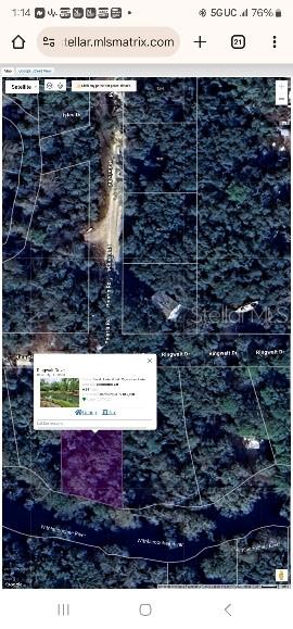 RINGWALT DRIVE, DADE CITY, FL — photo 2 of 24