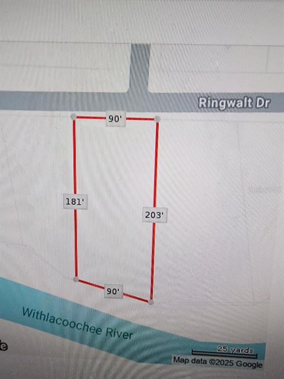 RINGWALT DRIVE, DADE CITY, FL — photo 3 of 24