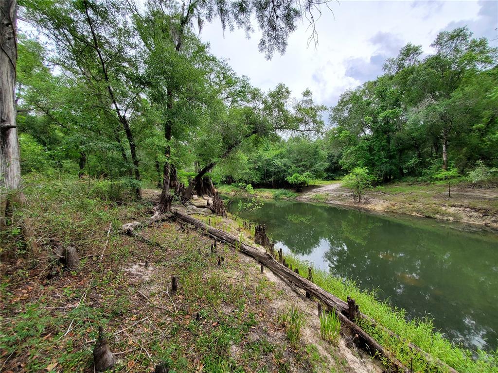 RINGWALT DRIVE, DADE CITY, FL — photo 5 of 24