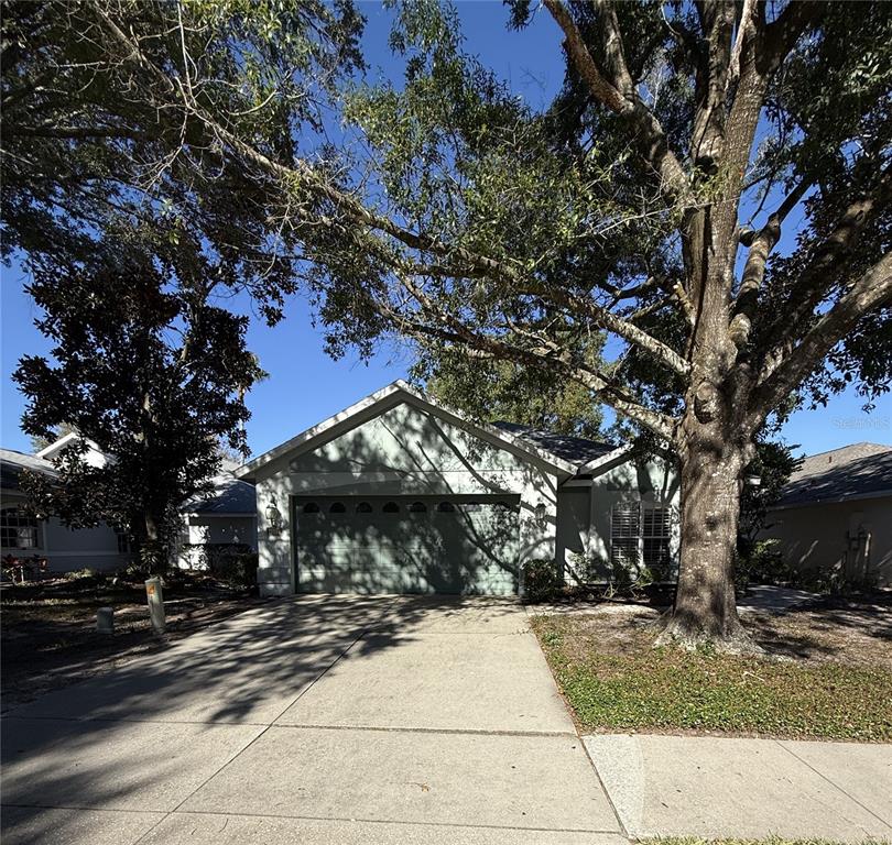 6027 SPRING CREEK COURT