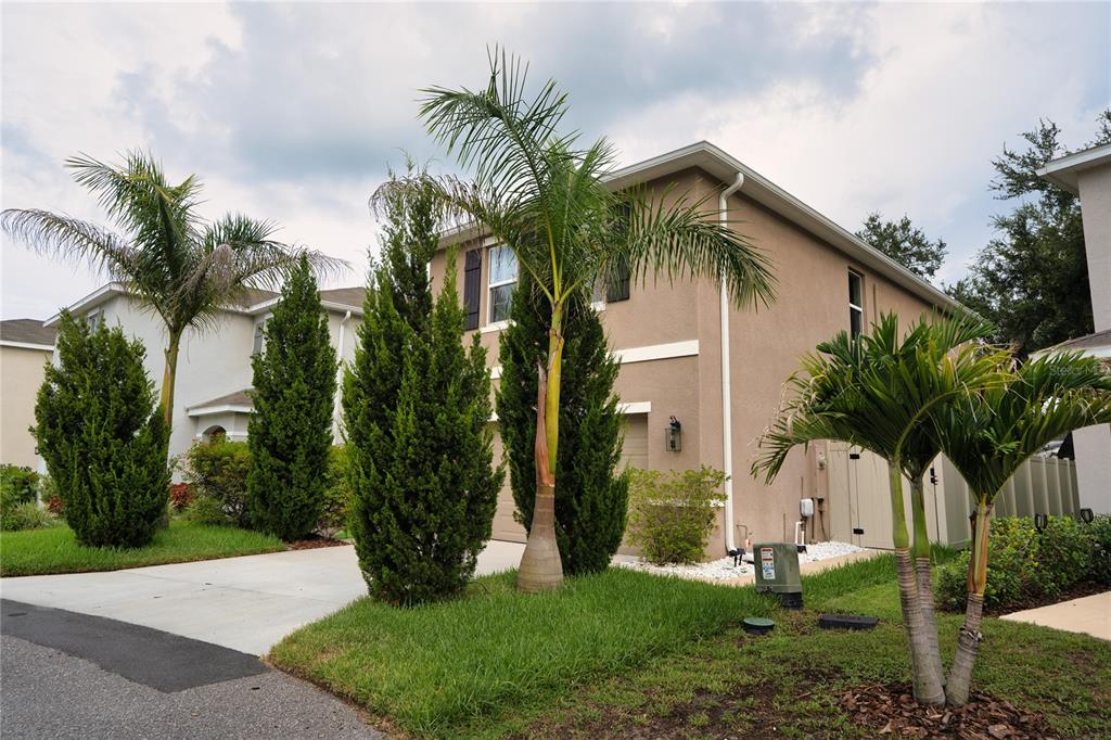 A two-story tan stucco house with palm trees and evergreen shrubs in the front yard — 7530 CYPRESS WALK DRIVE, NEW PORT RICHEY, FL