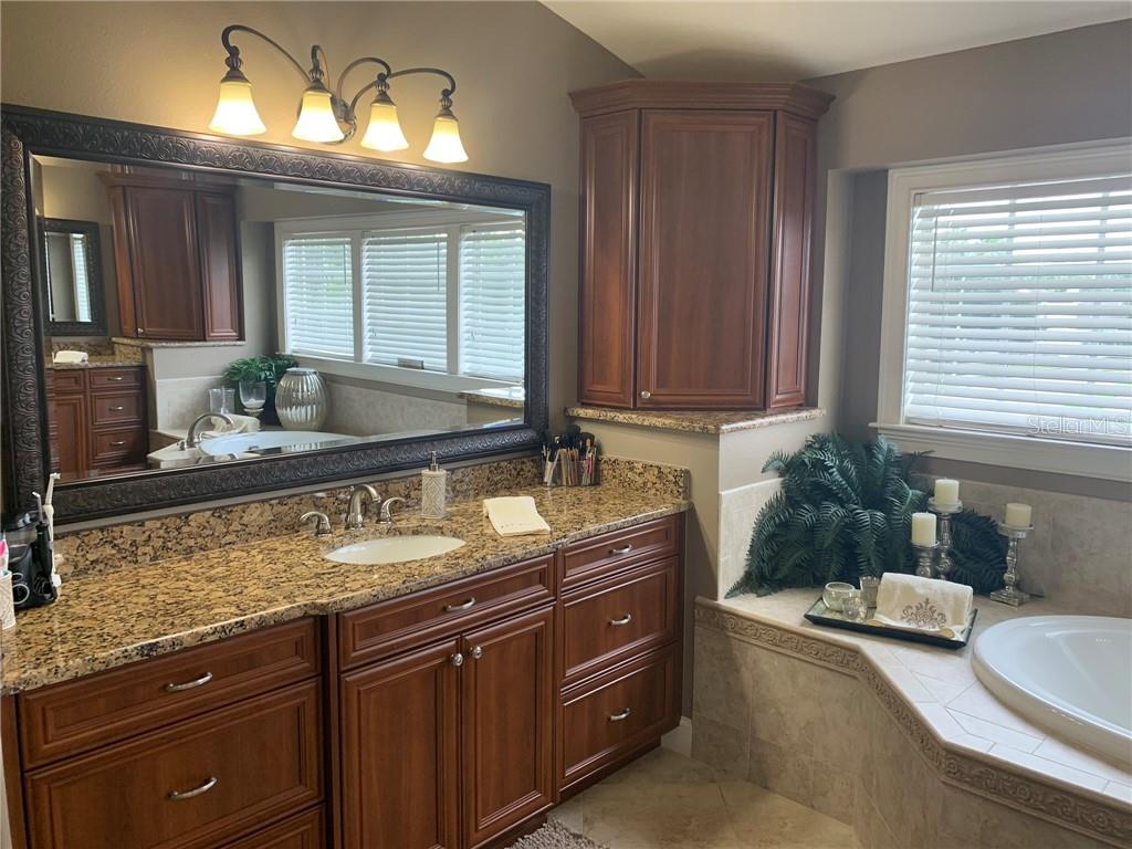 A bathroom features a granite vanity, dark wood cabinetry, a large mirror, and a corner tub — 1630 TAWNYBERRY COURT, TRINITY, FL