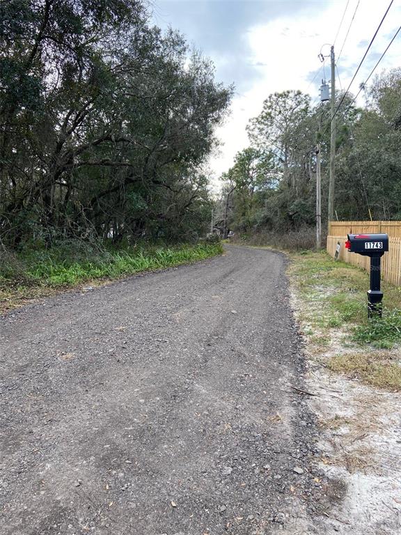 A gravel road leads into a wooded area with a mailbox on the right — 11743 PURDUE STREET, NEW PORT RICHEY, FL