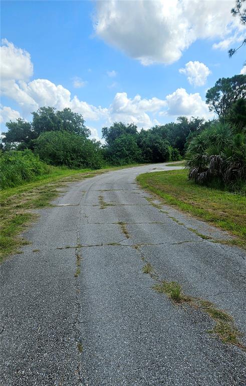 A cracked asphalt road winds through a grassy area surrounded by trees under a cloudy sky — CUSTER LOT #25 CIRCLE, NORTH PORT, FL