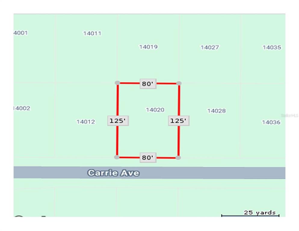 This is a map showing the rectangular dimensions of a property lot along Carrie Ave — 14020 CARRIE AVENUE, PORT CHARLOTTE, FL
