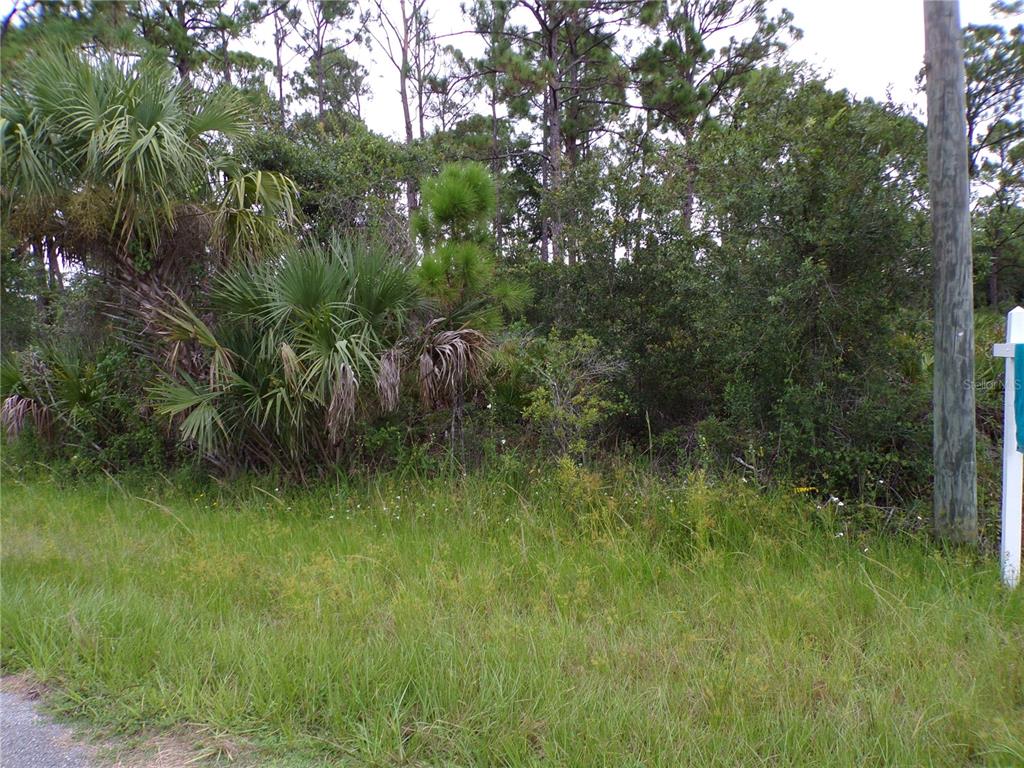 A grassy lot with dense trees and shrubs features a utility pole and real estate sign — 14020 CARRIE AVENUE, PORT CHARLOTTE, FL