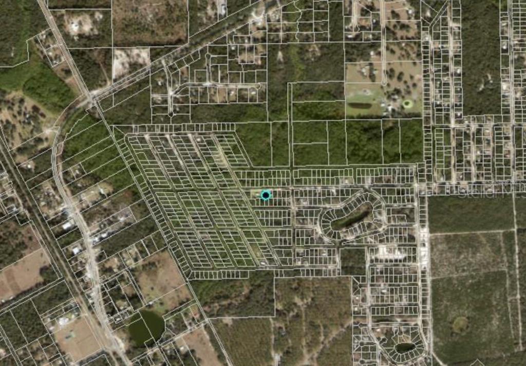 711 HICKORY NUT TRAIL, SATSUMA, FL — photo 2 of 3
