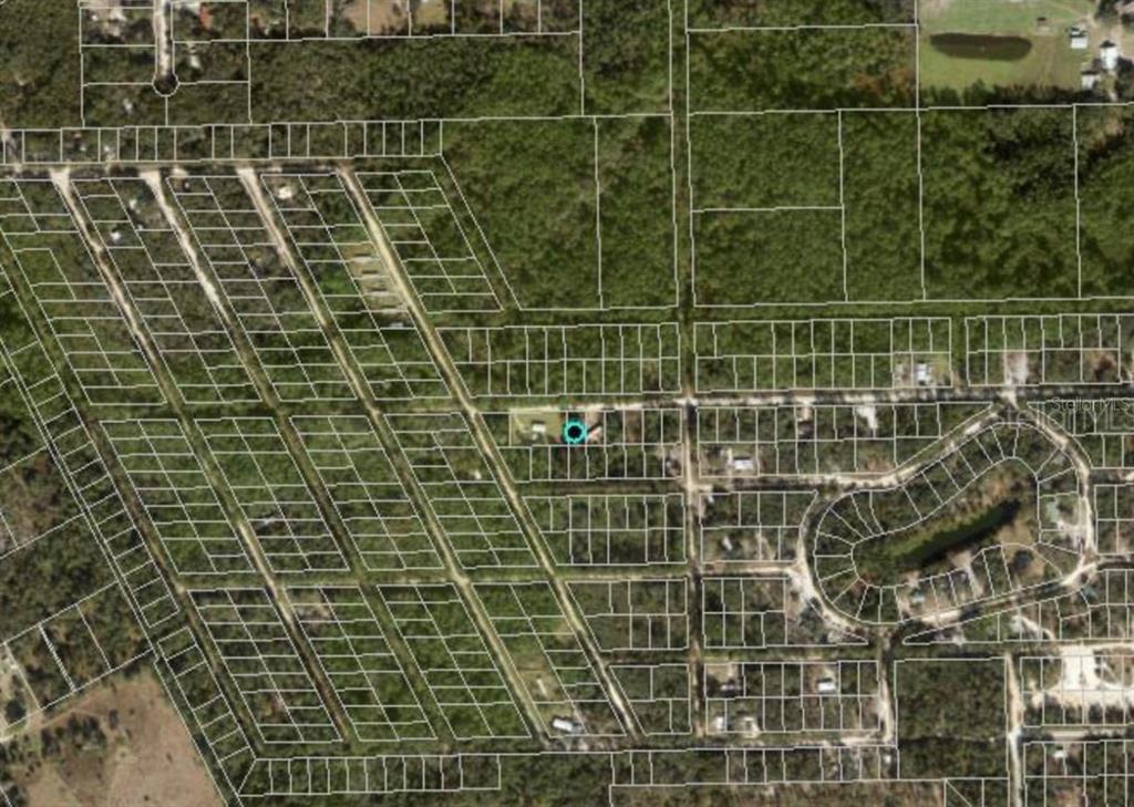 711 HICKORY NUT TRAIL, SATSUMA, FL — photo 3 of 3