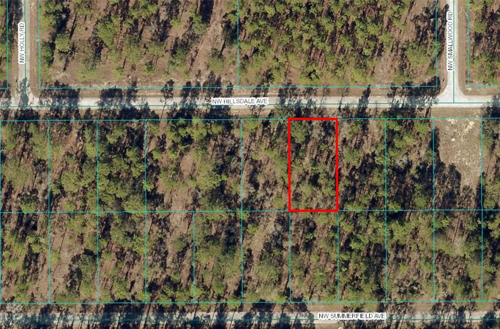 This is an aerial map showing a rectangular plot of land outlined in red — Lot 15 NW HILLSDALE AVENUE, DUNNELLON, FL