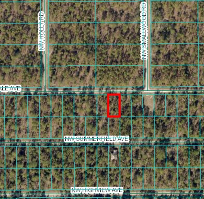This is an aerial map showing a rectangular plot of land highlighted in red — Lot 15 NW HILLSDALE AVENUE, DUNNELLON, FL