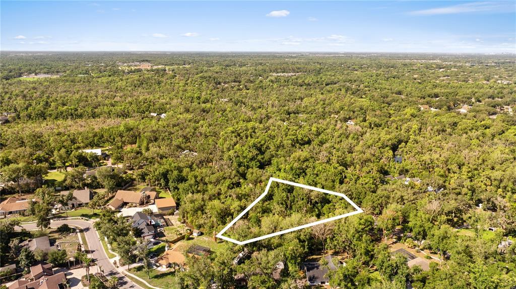 An aerial view shows a wooded residential lot outlined in white near suburban houses — 4706 RAMBLING RIVER ROAD, BRANDON, FL