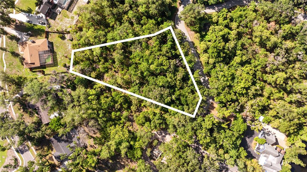 An aerial view shows a wooded residential lot outlined in white — 4706 RAMBLING RIVER ROAD, BRANDON, FL