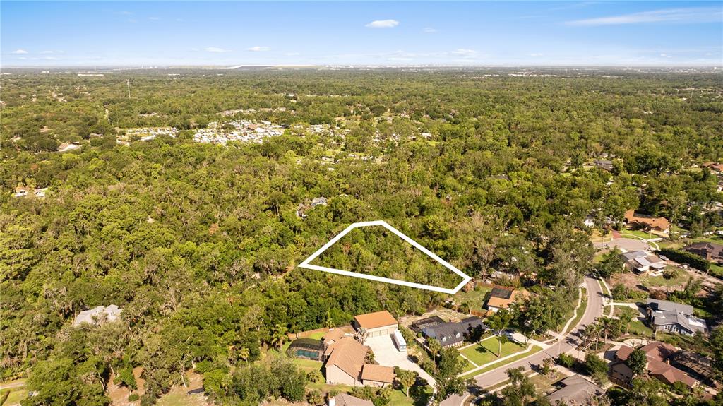 An aerial view shows a wooded residential lot outlined in white near suburban homes — 4706 RAMBLING RIVER ROAD, BRANDON, FL
