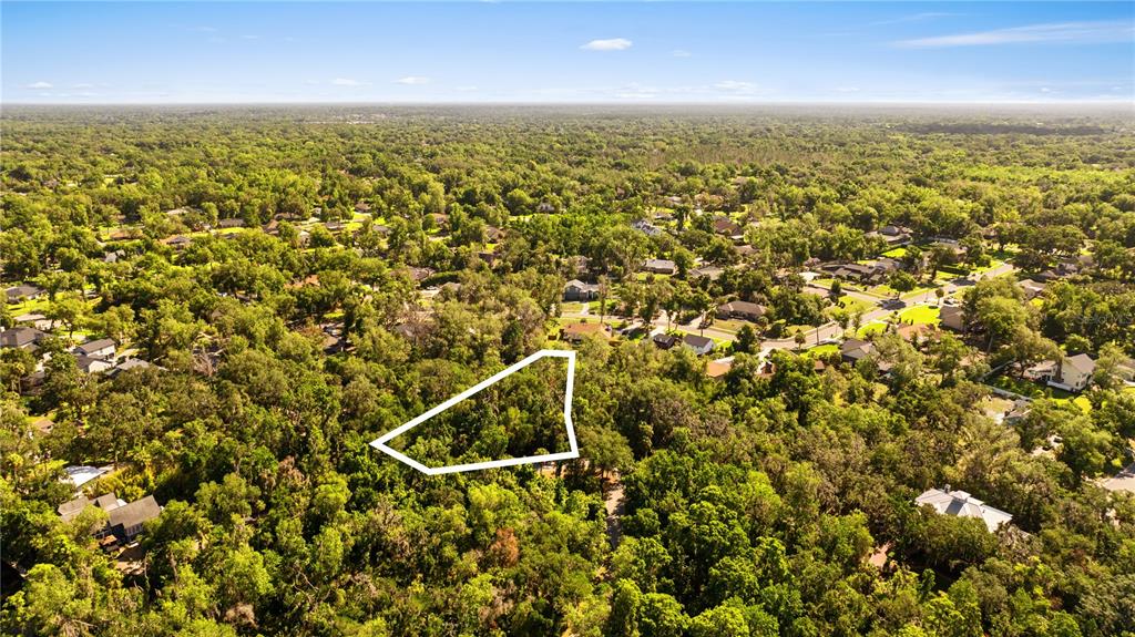 An aerial view shows a wooded residential lot outlined in white amidst surrounding houses — 4706 RAMBLING RIVER ROAD, BRANDON, FL