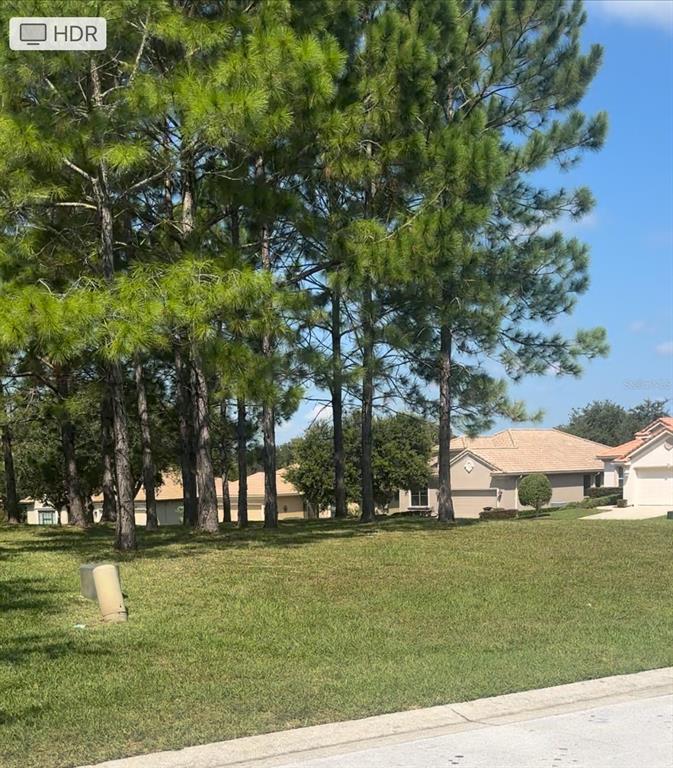 994 W SILVER MEADOW LOOP, HERNANDO, FL — photo 2 of 11