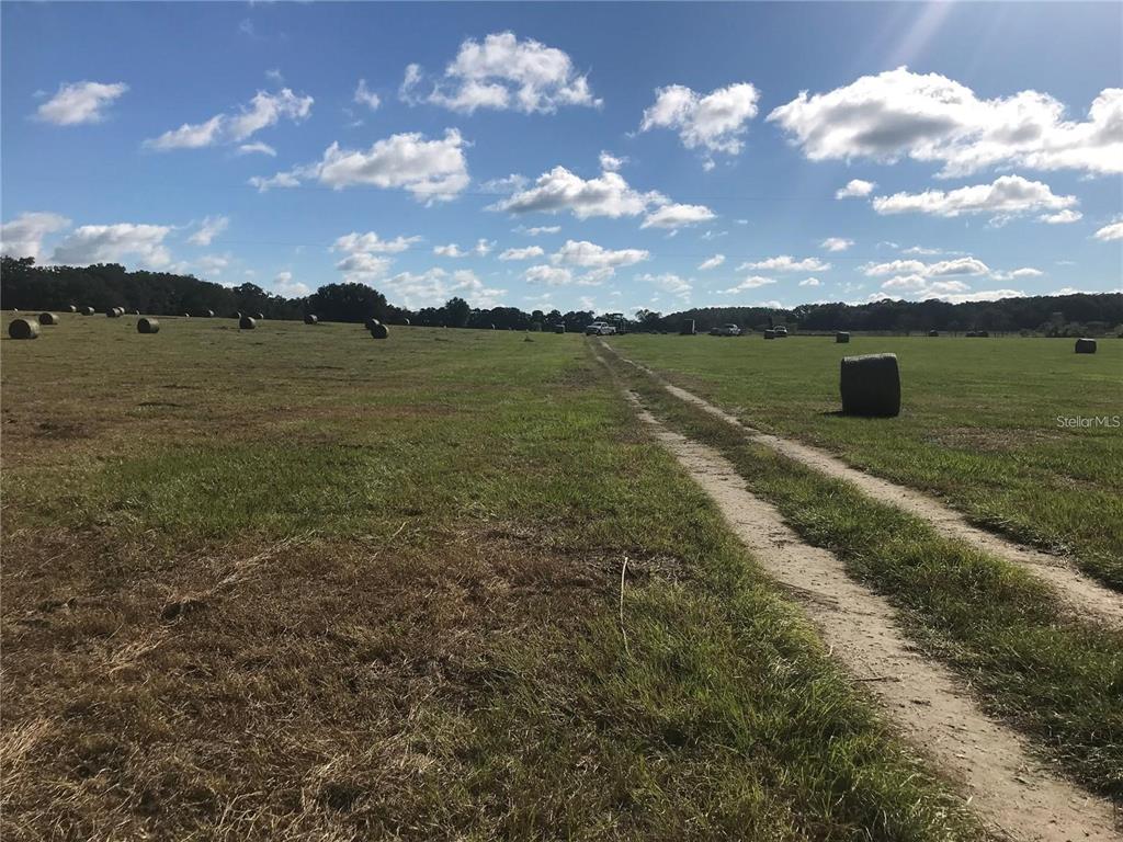 TBD NW 133RD, REDDICK, FL — photo 2 of 3
