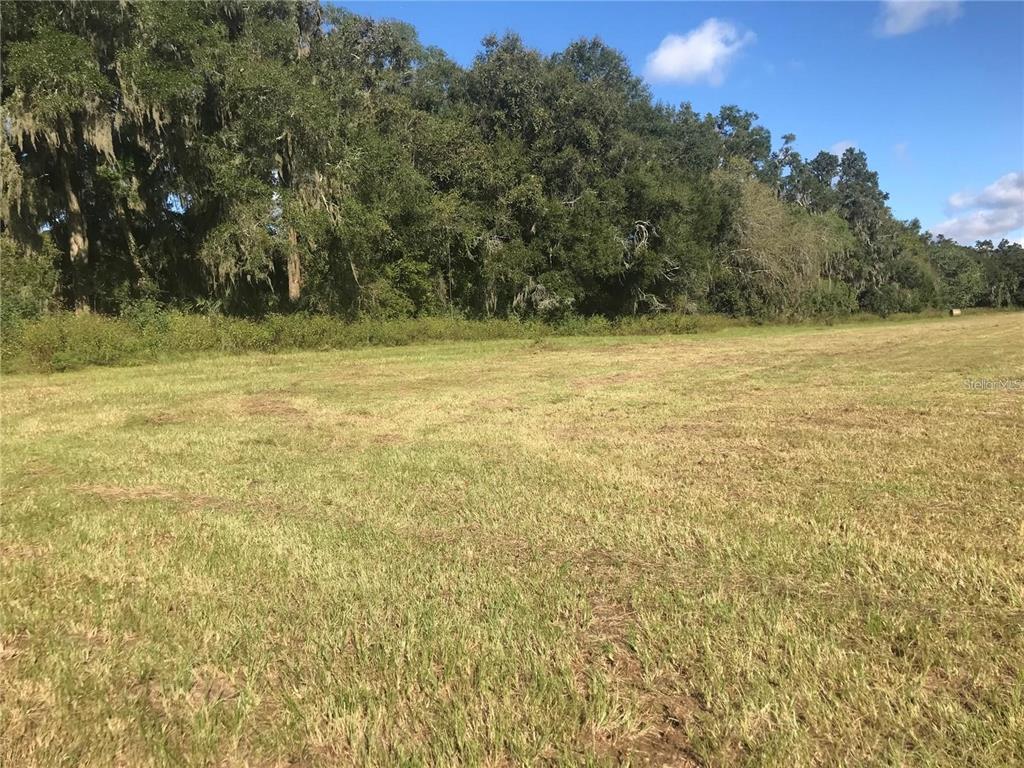 TBD NW 133RD, REDDICK, FL — photo 3 of 3