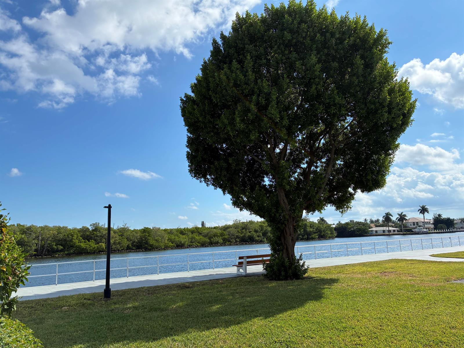 A large tree stands on a grassy lawn next to a waterfront walkway and bench — 650 Horizons Avenue E # 107, Boynton Beach FL 33435, BOYNTON BEACH, FL