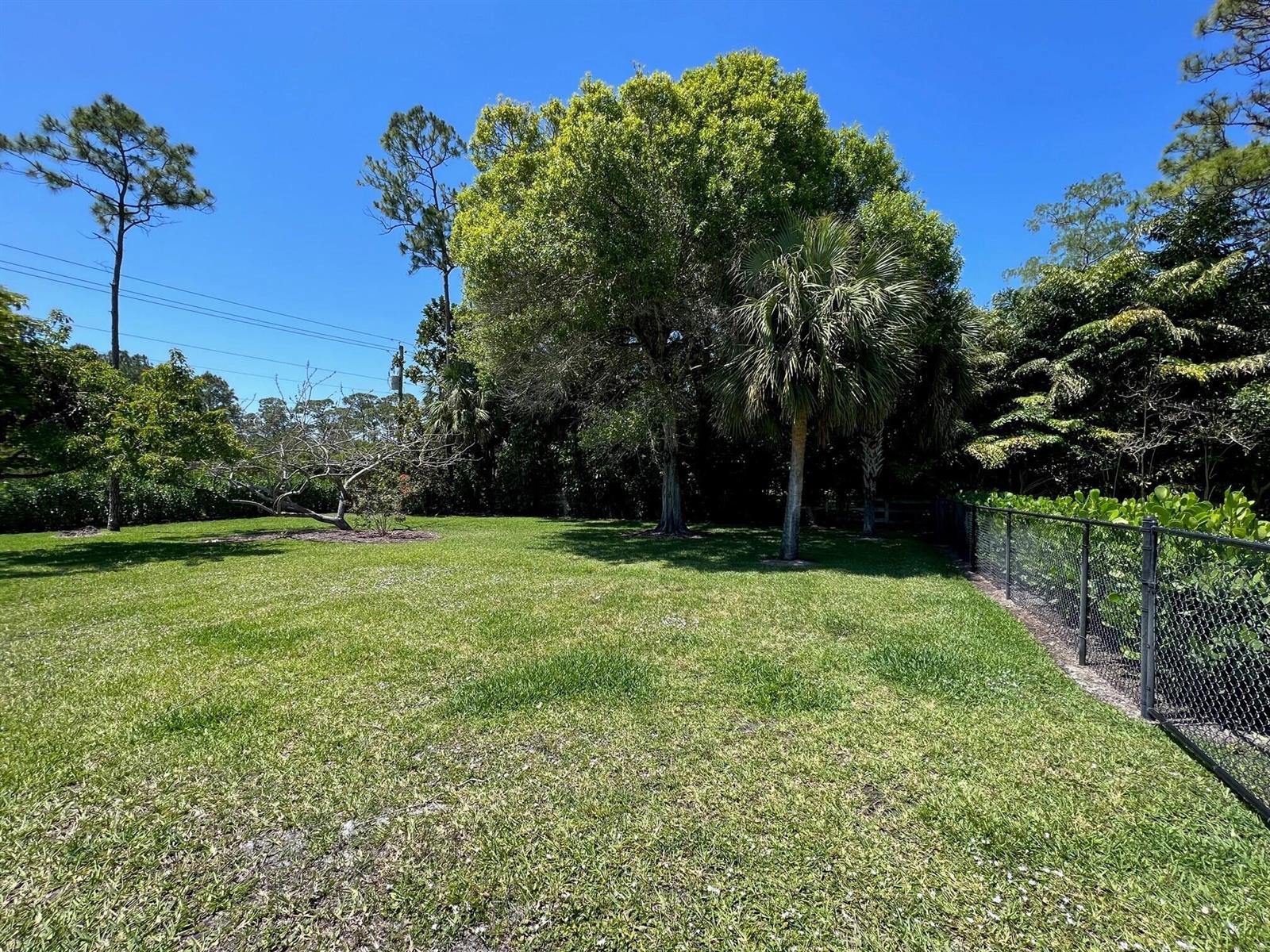 A grassy backyard features a chain-link fence, several mature trees, and a palm tree — 103 Squire Drive, Wellington FL 33414, WELLINGTON, FL