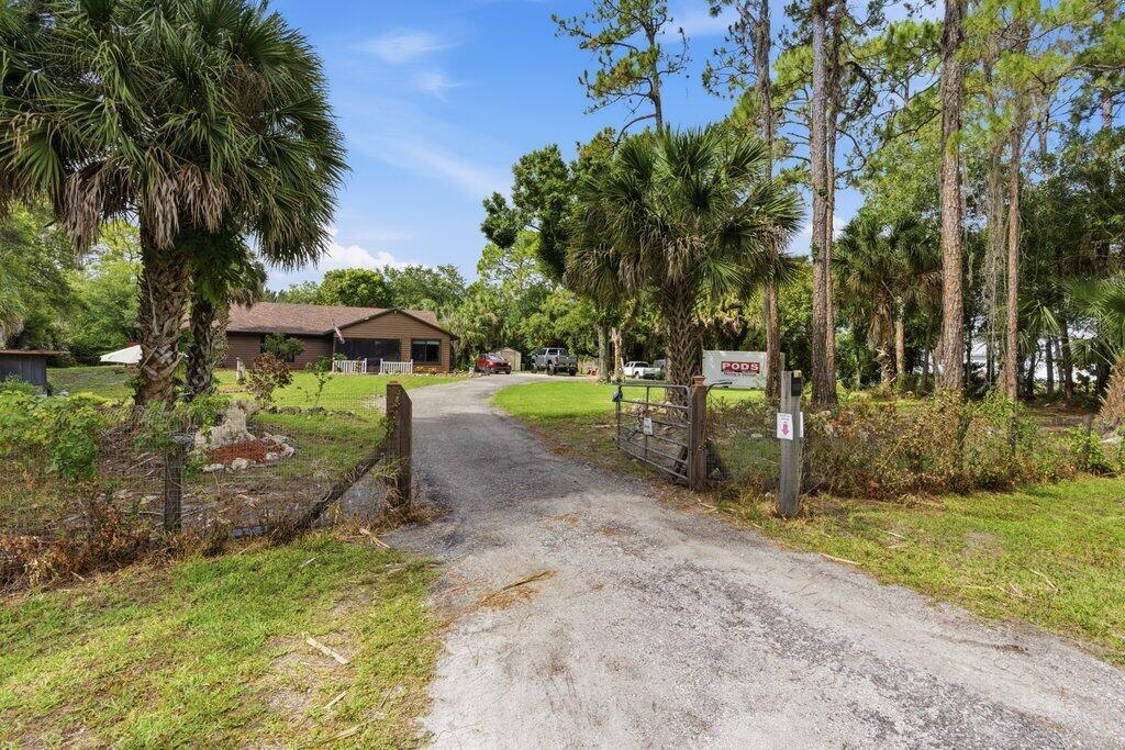 A gravel driveway leads to a brown house surrounded by palm trees and pine trees — 16888 Hialeah Drive W, FL 33470, FL