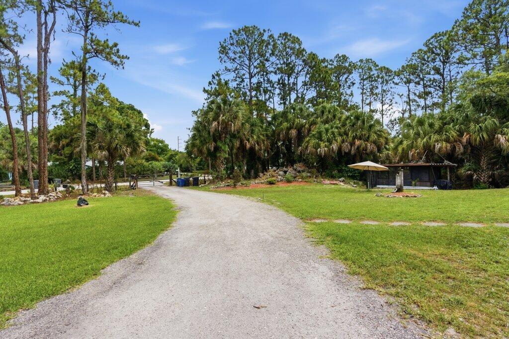 A gravel driveway leads toward a yard with palm trees and a small screened structure — 16888 Hialeah Drive W, FL 33470, FL