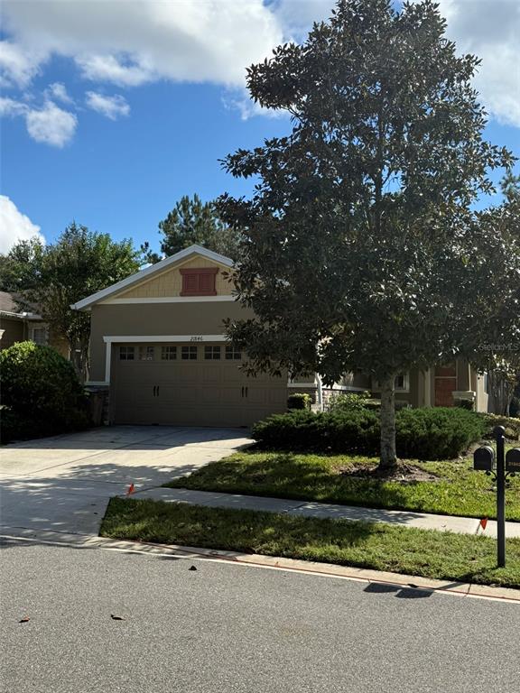 A single-story house with a tan exterior, a two-car garage, and a large tree — 21846 BELGIAN COURT, MOUNT DORA, FL
