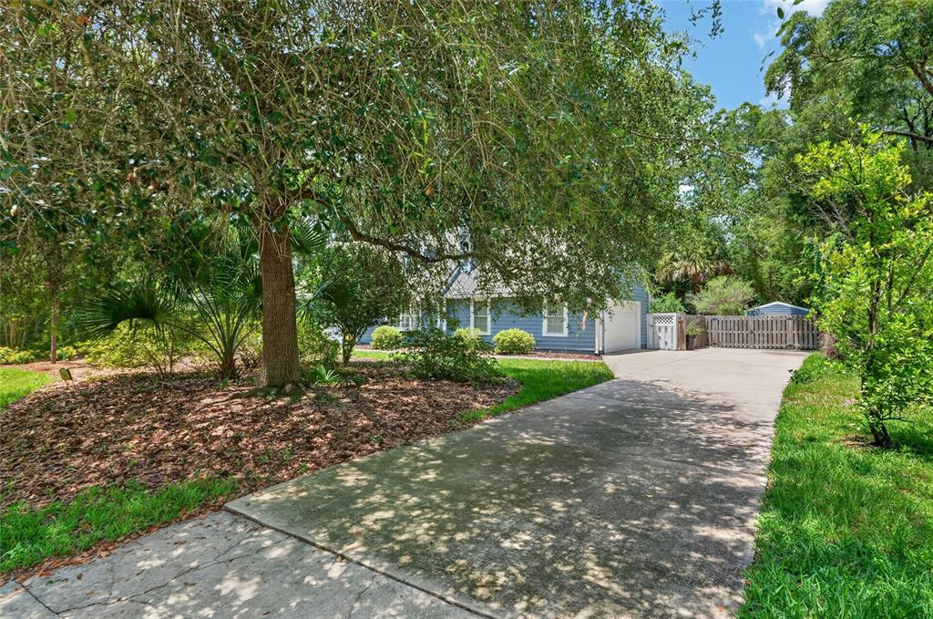 A blue house with a concrete driveway is partially obscured by a large oak tree — 5101 NW 65TH LANE, GAINESVILLE, FL