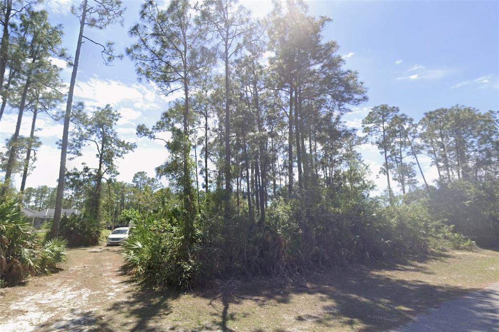 A wooded residential lot with tall pine trees and a small dirt driveway — 2904 E 9TH STREET, LEHIGH ACRES, FL