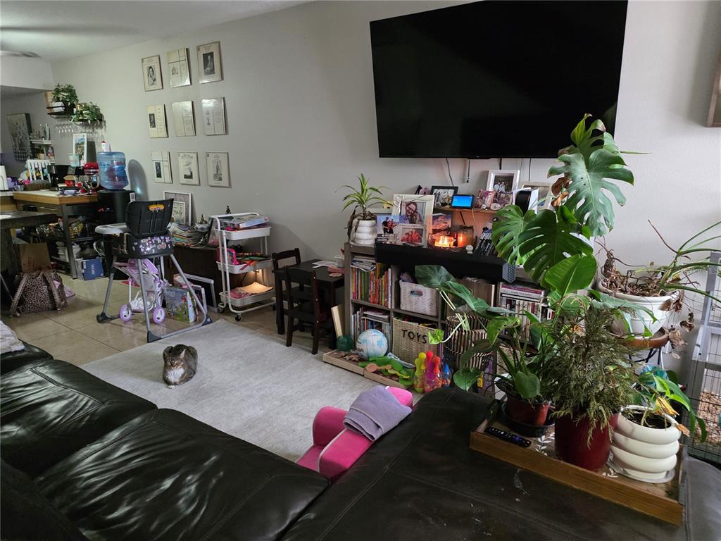 A living room features a large television, a bookshelf, a rug, and several potted plants — 4823 W MCELROY AVENUE UNIT D211, TAMPA, FL